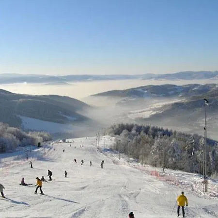 Cztery Pory Roku - Kominek, Sauna, Jacuzzi * Zarzecze (Silesia)